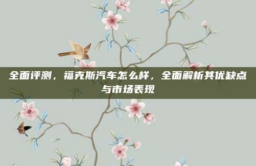 全面评测，福克斯汽车怎么样，全面解析其优缺点与市场表现