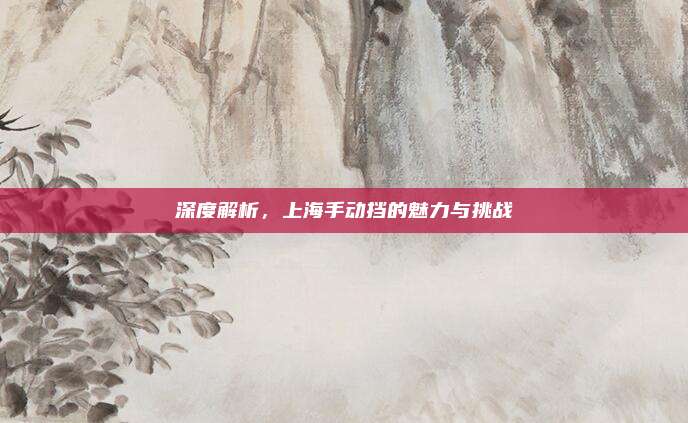 深度解析，上海手动挡的魅力与挑战