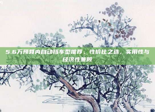 5.6万预算内自动挡车型推荐，性价比之选，实用性与经济性兼顾
