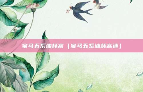 宝马五系油耗高(宝马五系油耗高速)