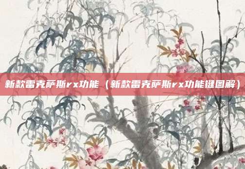 新款雷克萨斯rx功能（新款雷克萨斯rx功能键图解）