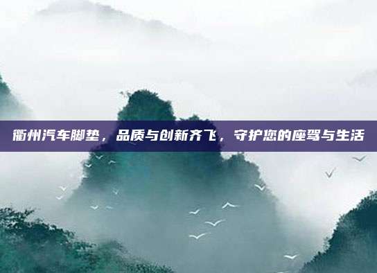 衢州汽车脚垫,品质与创新齐飞,守护您的座驾与生活