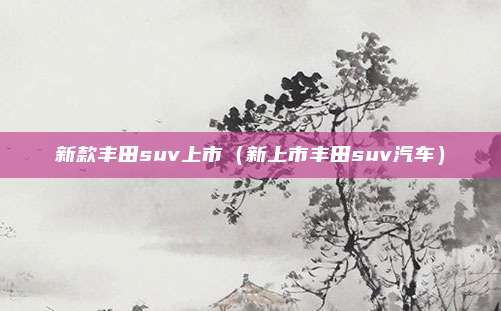 新款丰田suv上市（新上市丰田suv汽车）