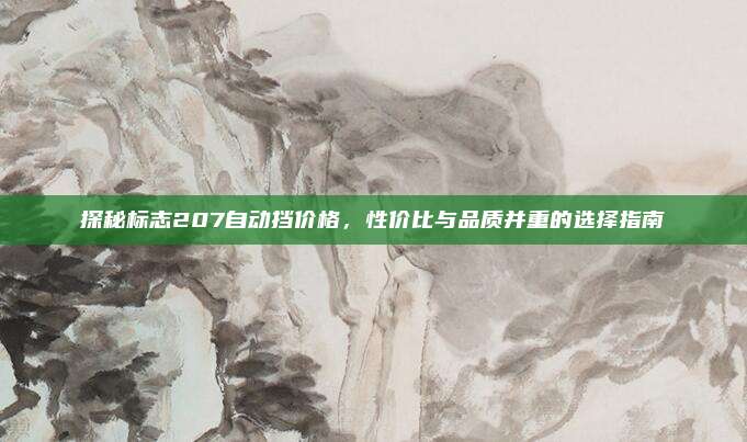 探秘标志207自动挡价格，性价比与品质并重的选择指南