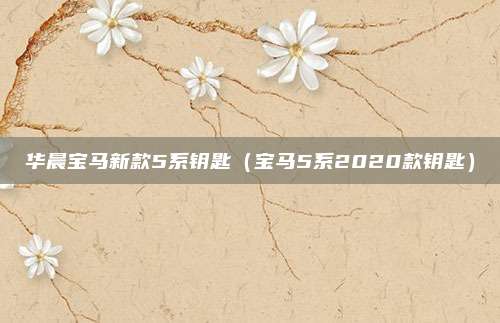 华晨宝马新款5系钥匙（宝马5系2020款钥匙）