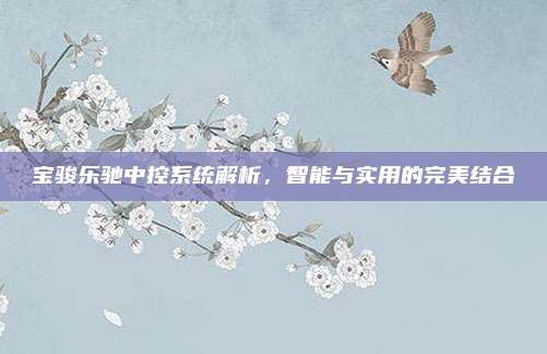 宝骏乐驰中控系统解析,智能与实用的完美结合