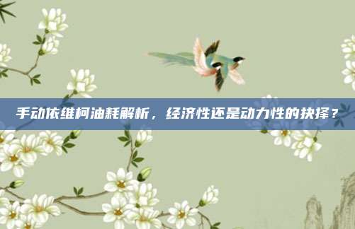 手动依维柯油耗解析，经济性还是动力性的抉择？