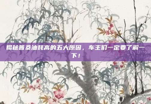 揭秘普桑油耗高的五大原因,车主们一定要了解一下!