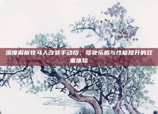深度解析牧马人改装手动挡,驾驶乐趣与性能提升的双重体验