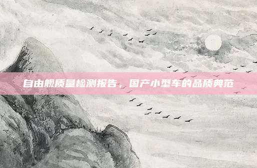 自由舰质量检测报告，国产小型车的品质典范