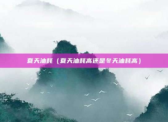 夏天油耗（夏天油耗高还是冬天油耗高）