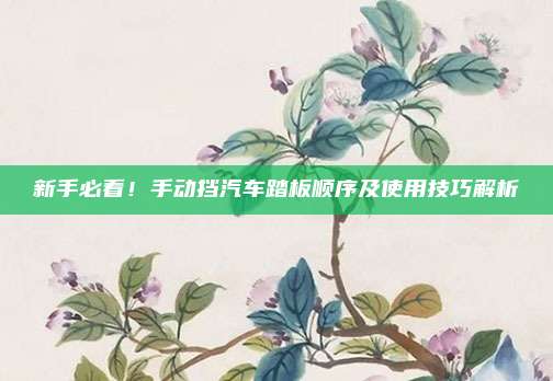新手必看！手动挡汽车踏板顺序及使用技巧解析