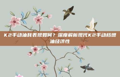 K2手动油耗表现如何?深度解析现代K2手动档燃油经济性