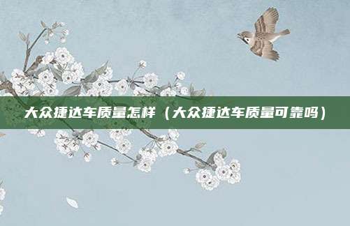 大众捷达车质量怎样（大众捷达车质量可靠吗）
