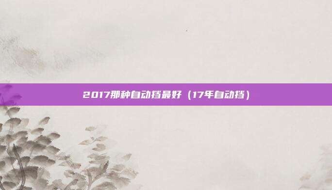 2017那种自动挡最好(17年自动挡)