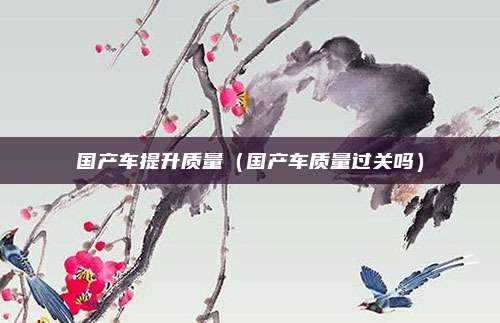 国产车提升质量(国产车质量过关吗)