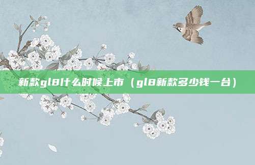 新款gl8什么时候上市(gl8新款多少钱一台)