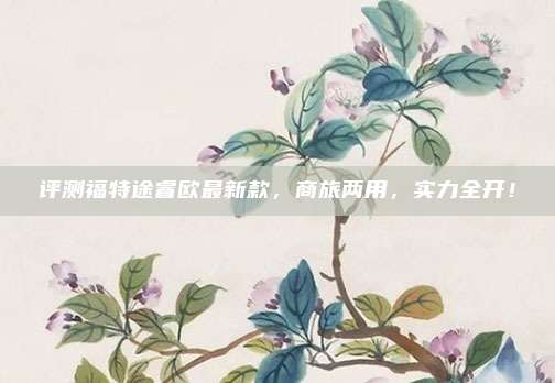 评测福特途睿欧最新款,商旅两用,实力全开!