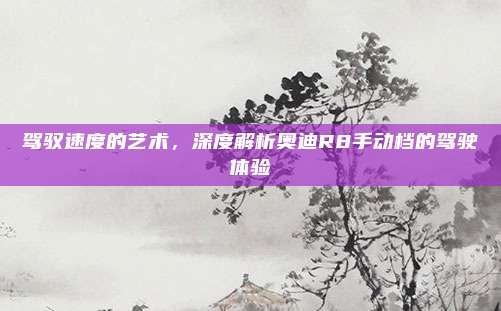 驾驭速度的艺术，深度解析奥迪R8手动档的驾驶体验