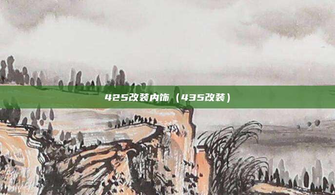 425改装内饰（435改装）