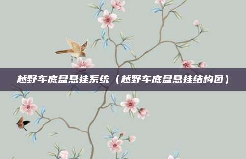 越野车底盘悬挂系统（越野车底盘悬挂结构图）