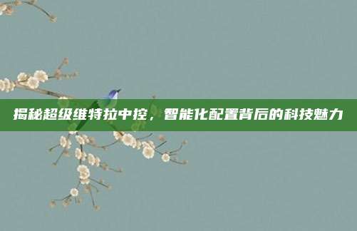 揭秘超级维特拉中控，智能化配置背后的科技魅力