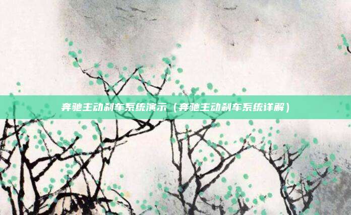 奔驰主动刹车系统演示（奔驰主动刹车系统详解）