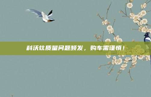 科沃兹质量问题频发,购车需谨慎!