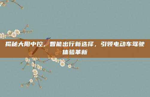 揭秘大阳中控,智能出行新选择,引领电动车驾驶体验革新