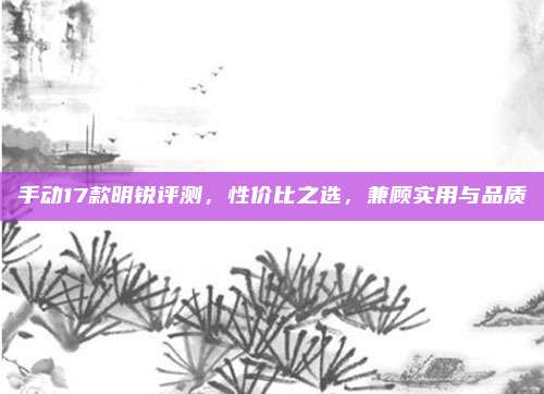 手动17款明锐评测,性价比之选,兼顾实用与品质