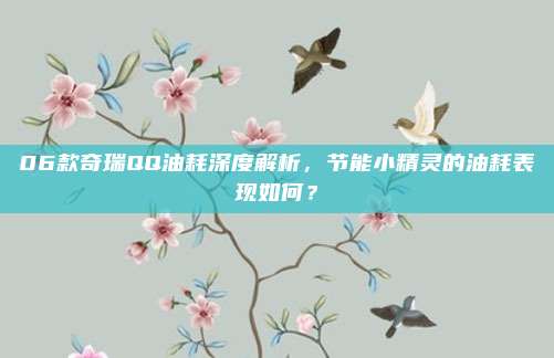 06款奇瑞QQ油耗深度解析,节能小精灵的油耗表现如何?