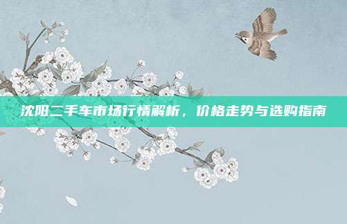 沈阳二手车市场行情解析,价格走势与选购指南