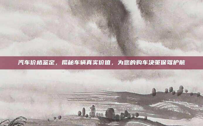 汽车价格鉴定,揭秘车辆真实价值,为您的购车决策保驾护航
