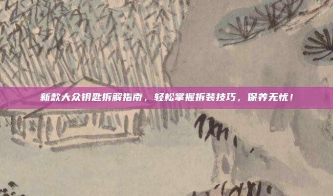 新款大众钥匙拆解指南，轻松掌握拆装技巧，保养无忧！