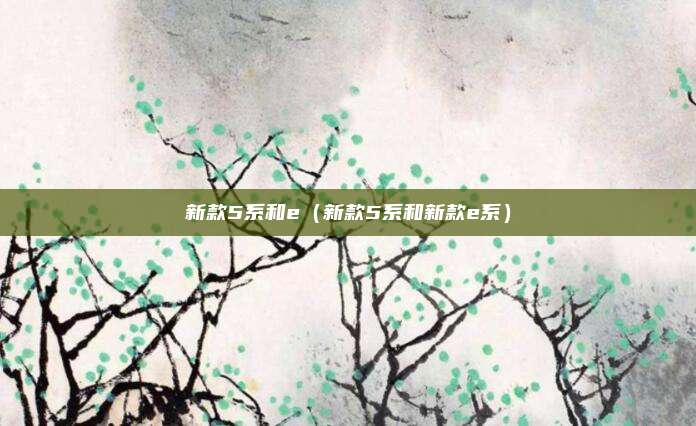 新款5系和e（新款5系和新款e系）