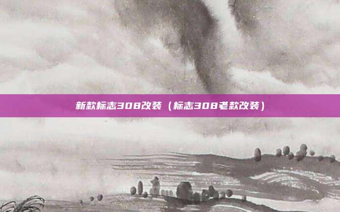 新款标志308改装（标志308老款改装）