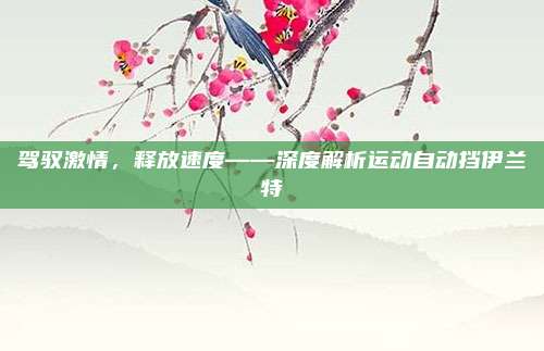 驾驭激情，释放速度——深度解析运动自动挡伊兰特