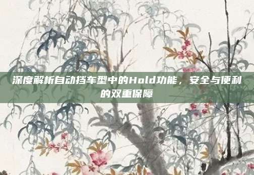深度解析自动挡车型中的Hold功能,安全与便利的双重保障