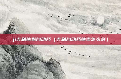 ji吉利熊猫自动挡（吉利自动挡熊猫怎么样）