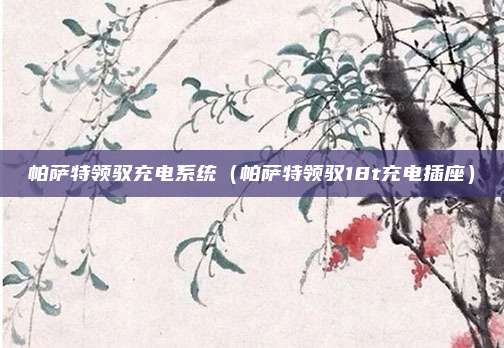 帕萨特领驭充电系统（帕萨特领驭18t充电插座）