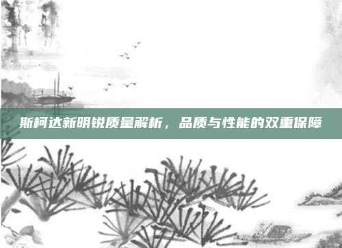 斯柯达新明锐质量解析,品质与性能的双重保障