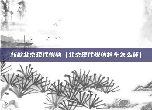 新款北京现代悦纳（北京现代悦纳这车怎么样）