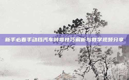 新手必看手动挡汽车转弯技巧解析与教学视频分享