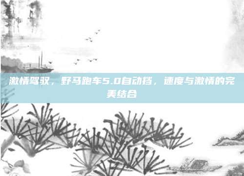 激情驾驭,野马跑车5.0自动挡,速度与激情的完美结合
