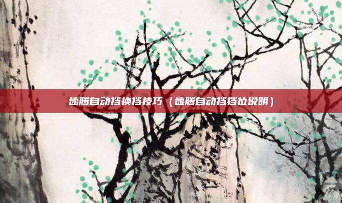 速腾自动挡换挡技巧（速腾自动挡挡位说明）