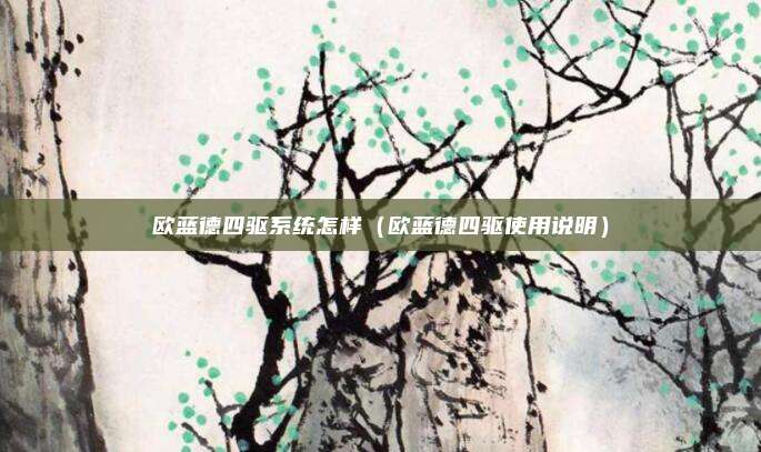 欧蓝德四驱系统怎样（欧蓝德四驱使用说明）