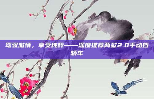 驾驭激情,享受纯粹——深度推荐两款2.0手动挡轿车