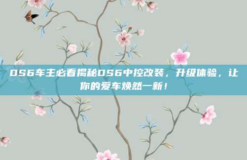 DS6车主必看揭秘DS6中控改装，升级体验，让你的爱车焕然一新！