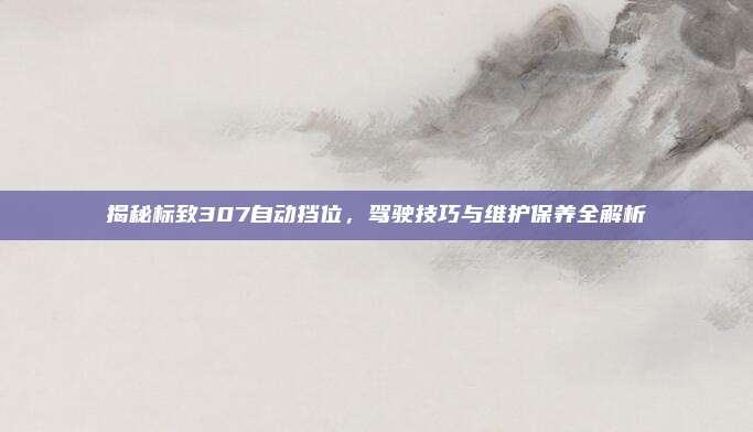 揭秘标致307自动挡位，驾驶技巧与维护保养全解析