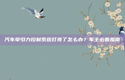 汽车牵引力控制系统灯亮了怎么办？车主必看指南